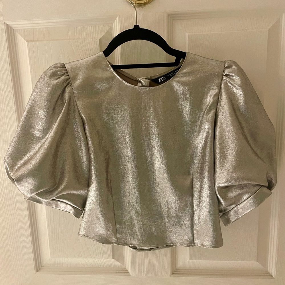 ZARA Metallic Crop Top